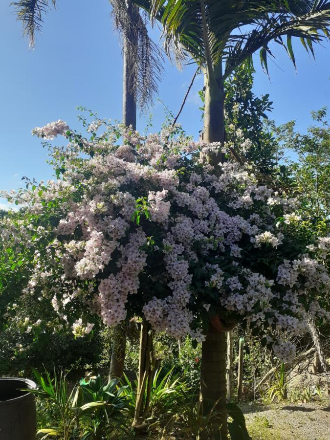 Chacara Cantinho Da Paz Ibiúna Buitenkant foto